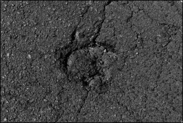 Asphalt pavement with visible cracks requiring repair