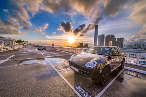 Cars parked neatly within bright line striping in a parking lot following recent maintenance and sealcoating.