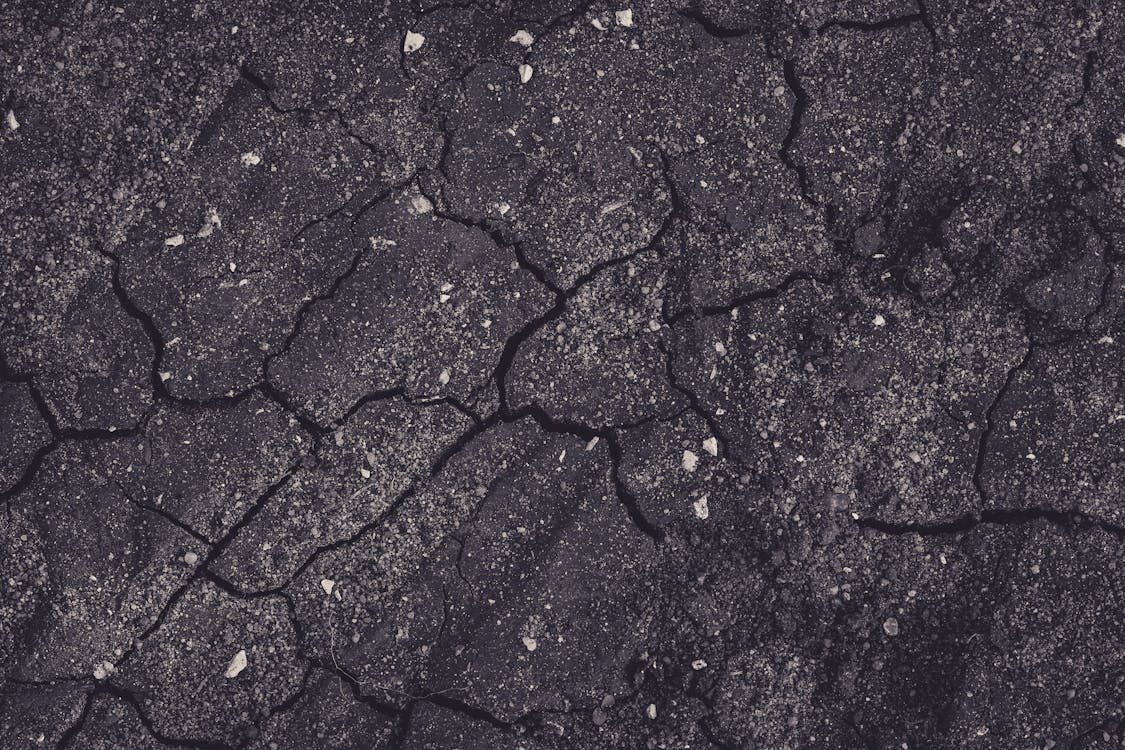 Cracks on an asphalt pavement